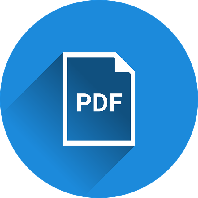 PDF